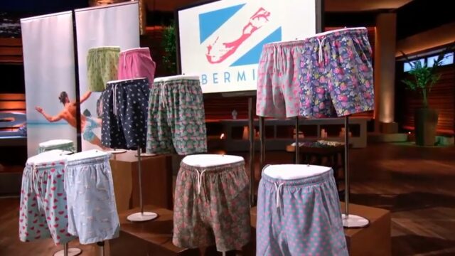 Bermies Swimwear logo